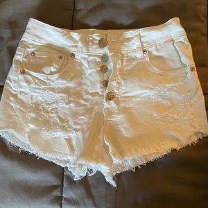 Hi-Rise Festival Shorts